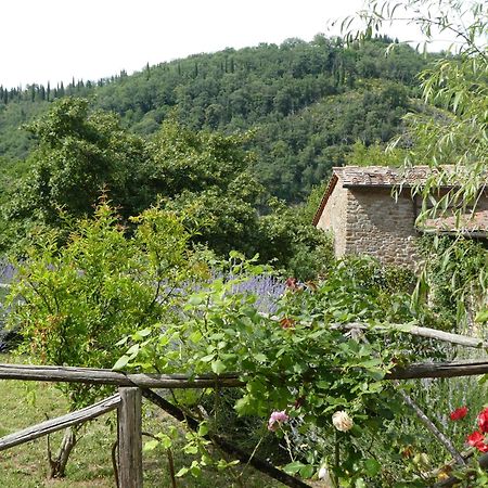 San Cerbone Il Capriolo 빌라 외부 사진