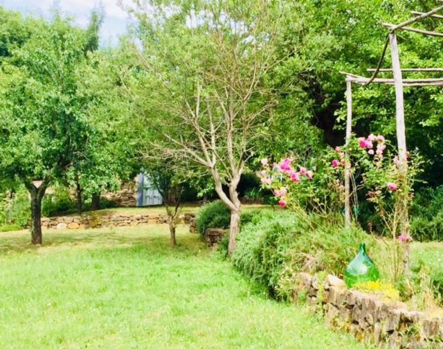 San Cerbone Il Capriolo 빌라 외부 사진